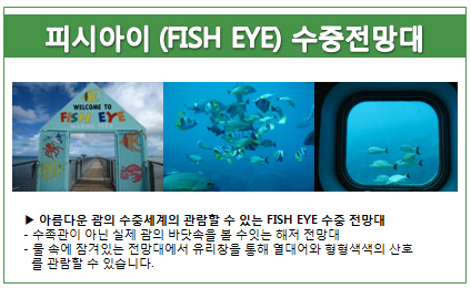 하나플러스투어 이미지